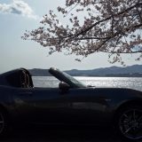 ロードスターRFと浜名湖畔の桜