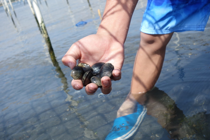 浜名湖の潮干狩り アサリ拾い に行ってきた アイスタイル Eye Style