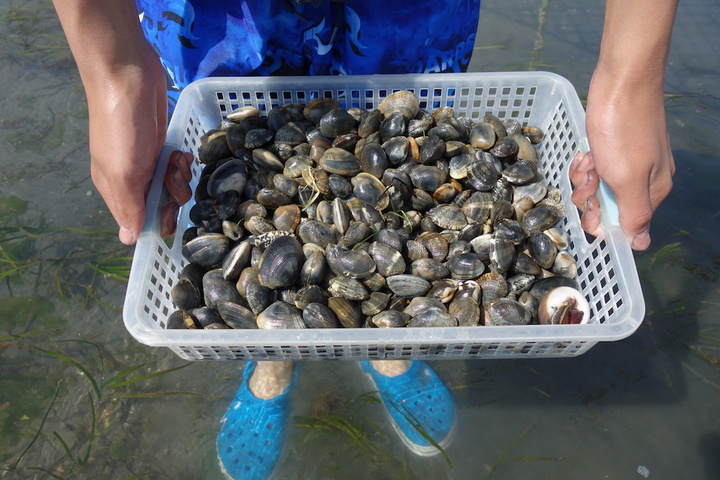 浜名湖の潮干狩り アサリ拾い に行ってきた アイスタイル Eye Style