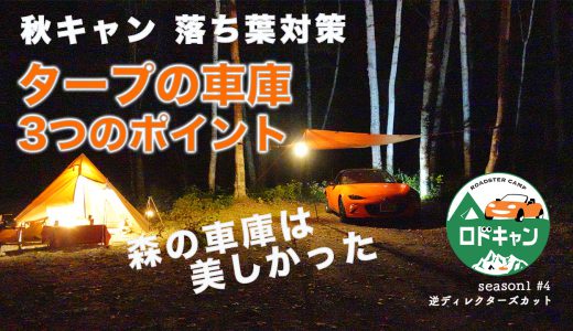 【秋キャンプ】DDタープの車庫でロドキャン落ち葉対策3つのポイント